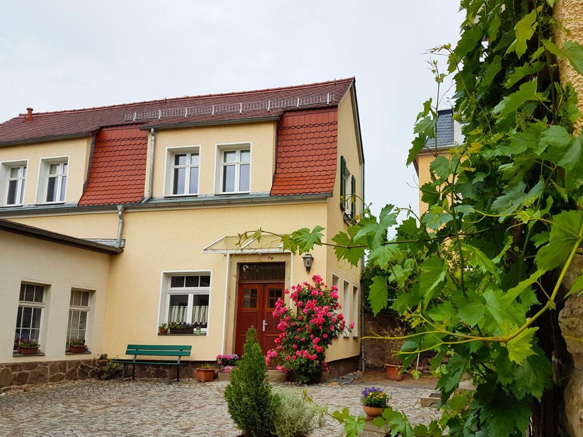 Ferienhaus Muehlberg Villa Radebeul Exterior photo